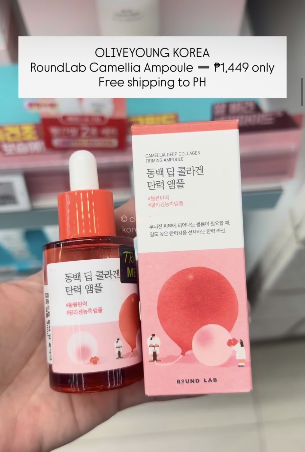 [OLIVEYOUNG] ROUNDLAB Camellia Ampoule