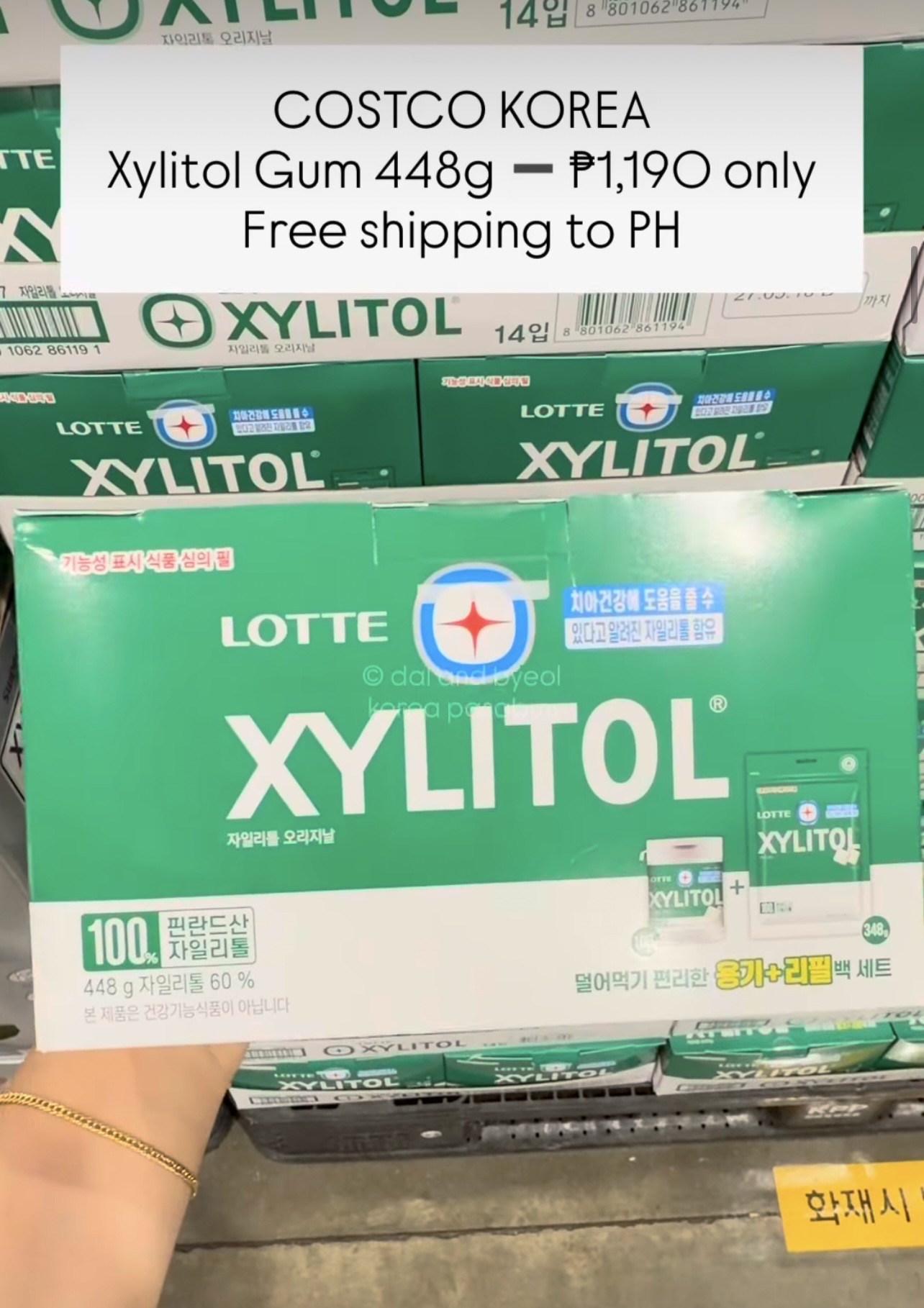 [COSTCO] Xylitol Gum 448g