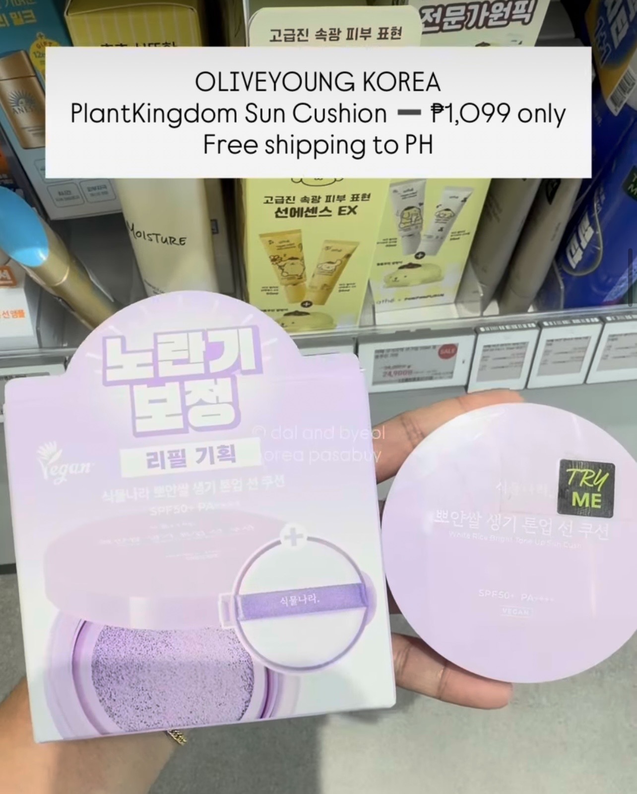 [OLIVEYOUNG] PLANTKINGDOM Sun Cushion